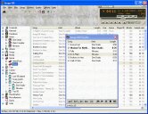 Main application screen with the playlist